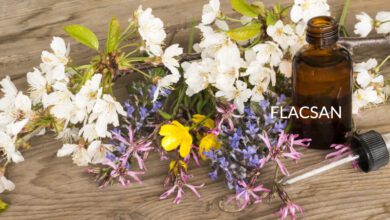 Terapia Floral