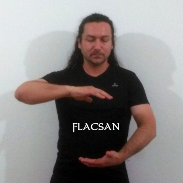 Taller de QiGong Online