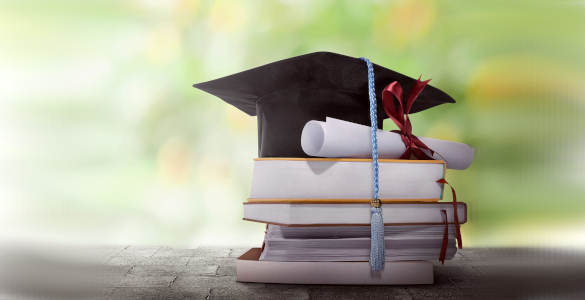 Programa de Especialización